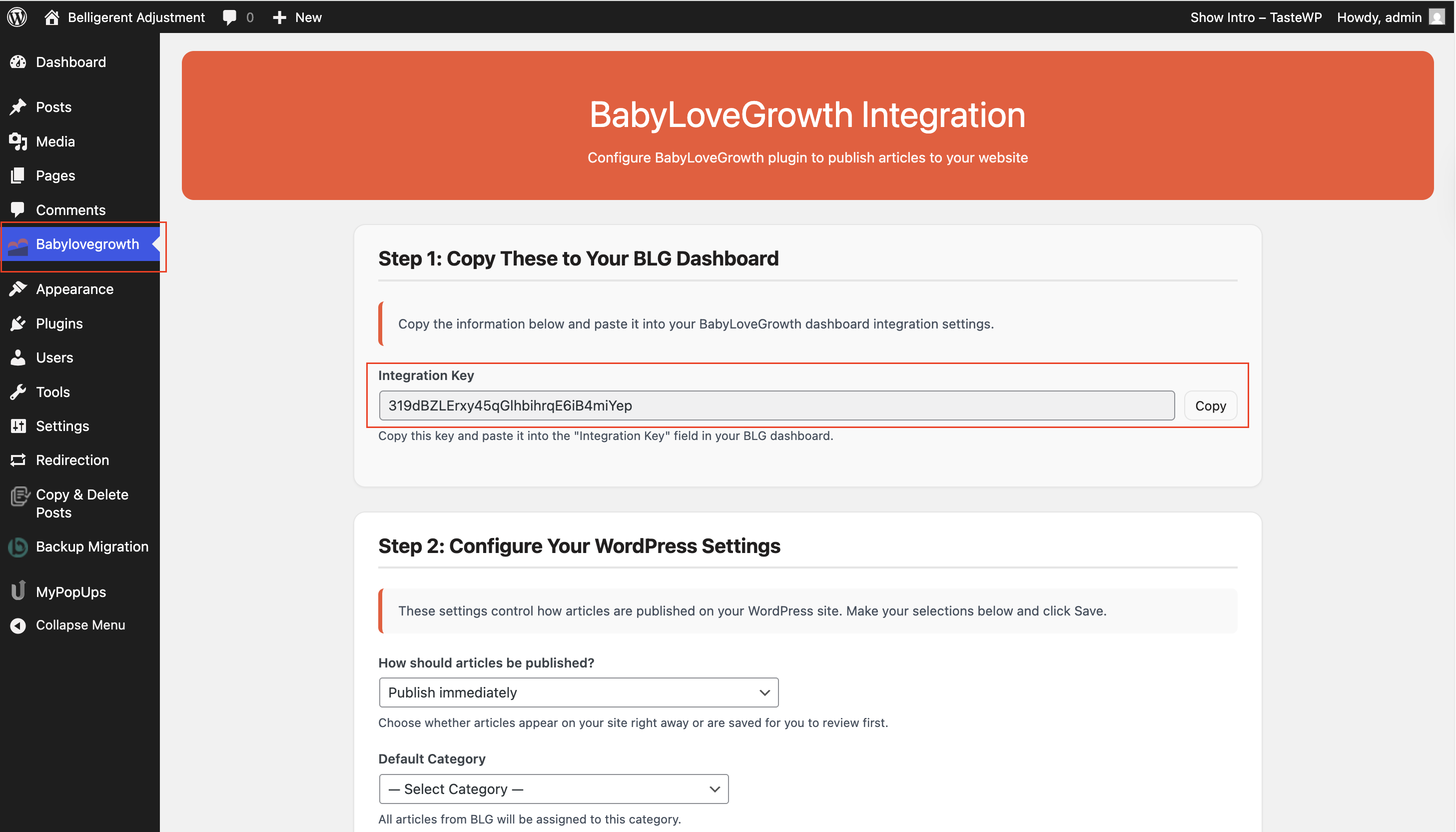 WordPress plugin settings page showing the Integration Key to copy